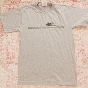 Jerzees Light Greenview Gray Graphic Tee PHILLIPIANS